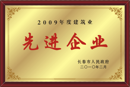 2010年先进企业